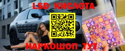 дмт Будённовск