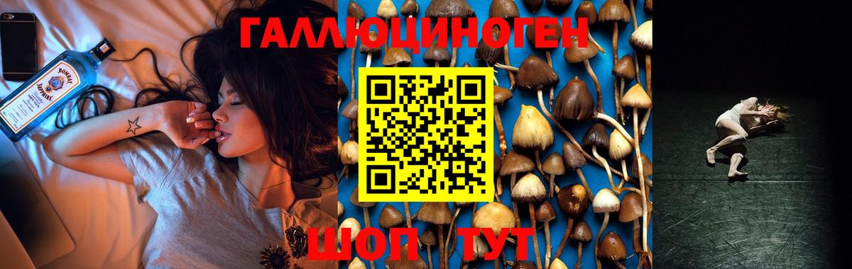 Меф   Кокаин  Канабис  Амфетамин   ГАШИШ  Метамфетамин  Новокуйбышевск  МЕТАДОН  Вход с VPN 